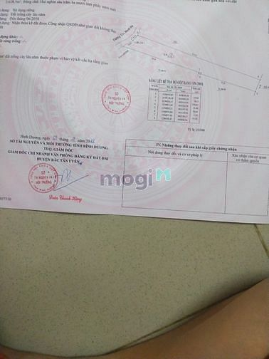 Hình ảnh Bán 2000m2 đất Tân Bình, Bắc Tân Uyên cách DT 741 50m, sổ sẵn giá đẹp