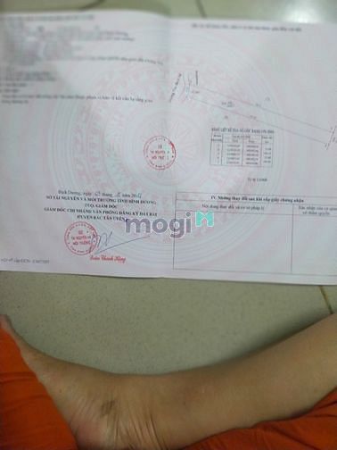 Hình ảnh Bán 2000m2 đất Tân Bình, Bắc Tân Uyên cách DT 741 50m, sổ sẵn giá đẹp