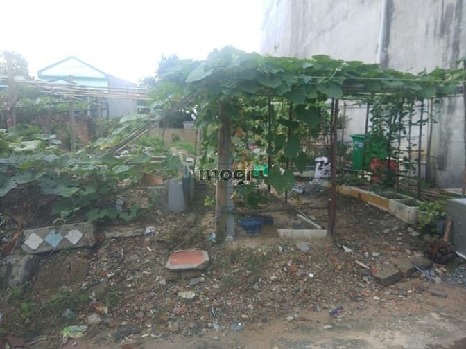 Hình ảnh Bán đất xây trọ hẻm 61 đường Hàng Tre , P. Long Thạnh Mỹ , Quận 9