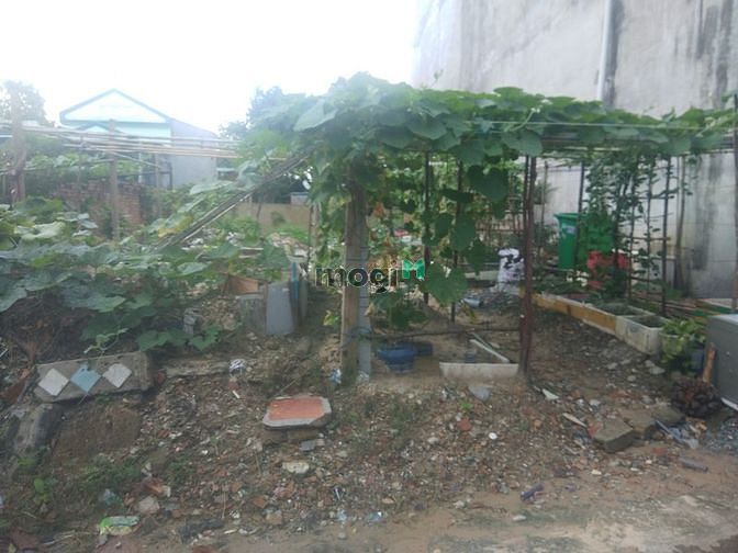 Hình ảnh Bán đất đường Hàng Tre , P. Long Thạnh Mỹ , Quận 9 (116m giá chỉ 40tr)