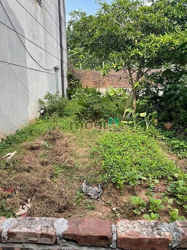 Hình ảnh Bán gấp đất Thụy Phương 56m2,MT 4m,nở hậu,2.5 tỷ