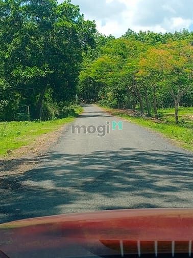 Hình ảnh Bán đất sổ riêng từng nền bình phước