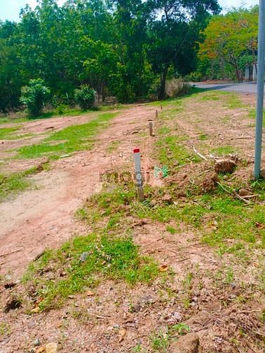 Hình ảnh Bán đất sổ riêng từng nền bình phước