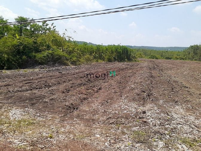 Hình ảnh Bán đất gấp 1425.5m² tại Bình Phước giá 350 triệu.