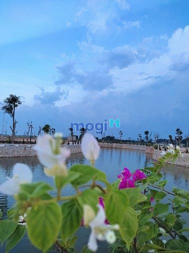 Hình ảnh Bán Đất quy hoạch Cụm Công Nghiệp Hiện Đại Đông Sơn Thanh Hóa