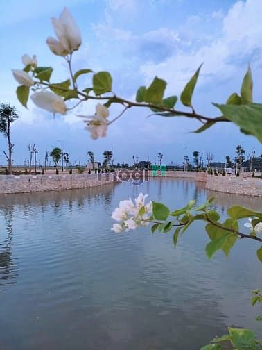 Hình ảnh Bán Đất quy hoạch Cụm Công Nghiệp Hiện Đại Đông Sơn Thanh Hóa