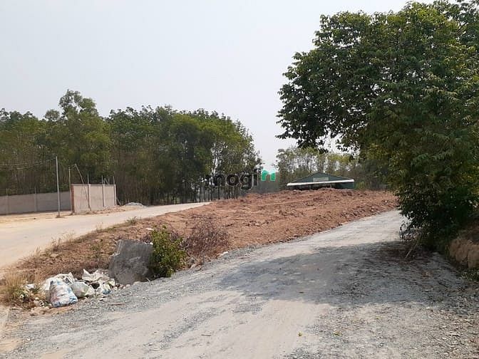 Hình ảnh Kẹt dịch ra gấp lô đất ngay chợ đường 26m 1000m2 giá 300tr