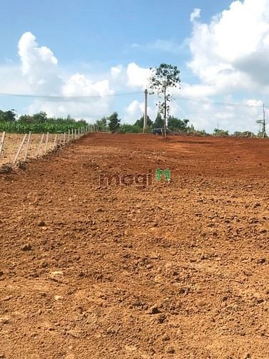 Hình ảnh Đất Sào khu dân cư xã Suối Rao - Châu Đức - BRVT