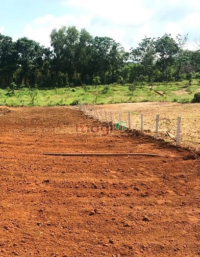 Hình ảnh Đất Sào khu dân cư xã Suối Rao - Châu Đức - BRVT