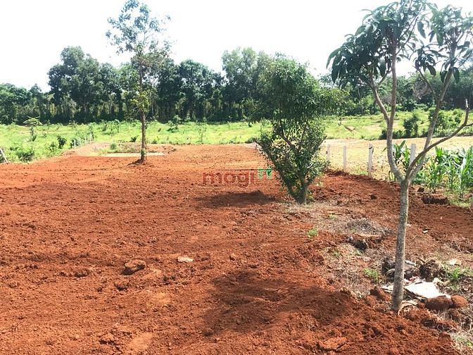 Hình ảnh Đất Sào khu dân cư xã Suối Rao - Châu Đức - BRVT