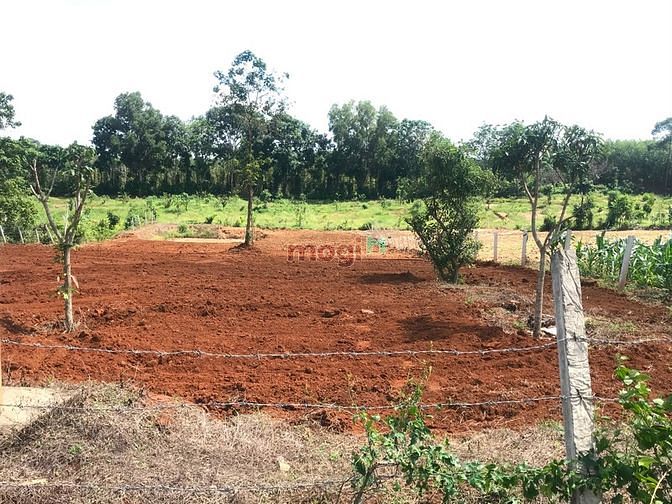 Hình ảnh Đất Sào khu dân cư xã Suối Rao - Châu Đức - BRVT