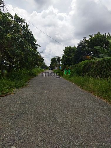 Hình ảnh Bán Đất Đông Thạnh Hóc Môn - Đường 4.5M - 2700M2.