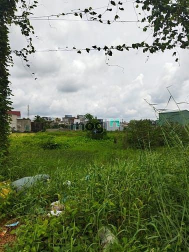 Hình ảnh Bán Đất Đông Thạnh Hóc Môn - Đường 4.5M - 2700M2.