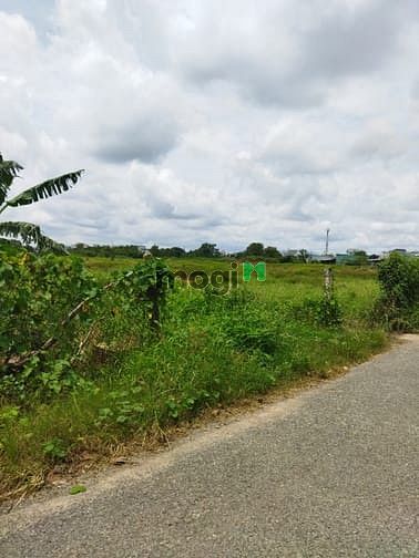 Hình ảnh Bán Đất Đông Thạnh Hóc Môn - Đường 4.5M - 2700M2.