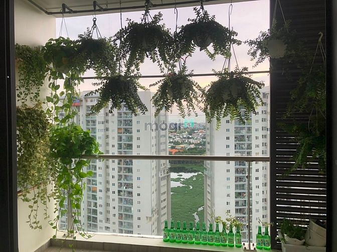 Hình ảnh BĐS cho thuê Vũng tàu gateway đầy đủ nội thất sạch đep y hình