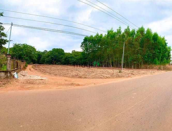 Hình ảnh Dịch khó khăn bán NGAY 1612m2 (36X40m) đất LONG THÀNH