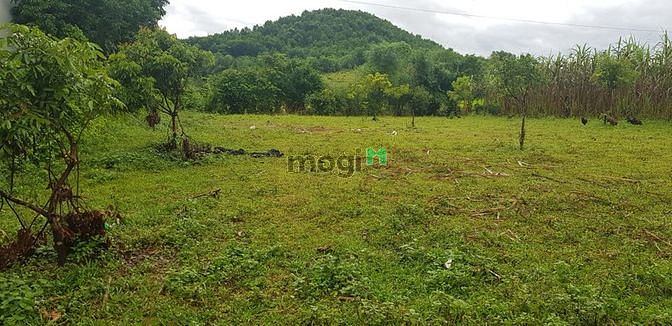 Hình ảnh Cần bán lô đất 900m có 200 thổ cư tại Kim Bôi-Hòa Bình
