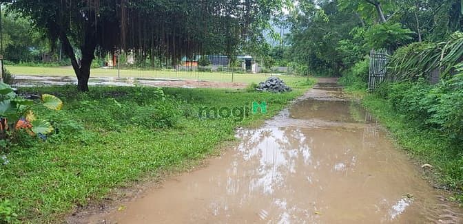 Hình ảnh Cần bán lô đất 900m có 200 thổ cư tại Kim Bôi-Hòa Bình