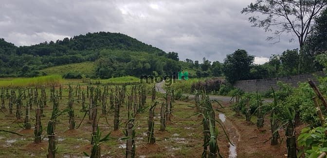 Hình ảnh Cần bán lô đất 900m có 200 thổ cư tại Kim Bôi-Hòa Bình