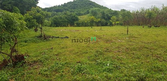 Hình ảnh Cần bán lô đất 900m có 200 thổ cư tại Kim Bôi-Hòa Bình