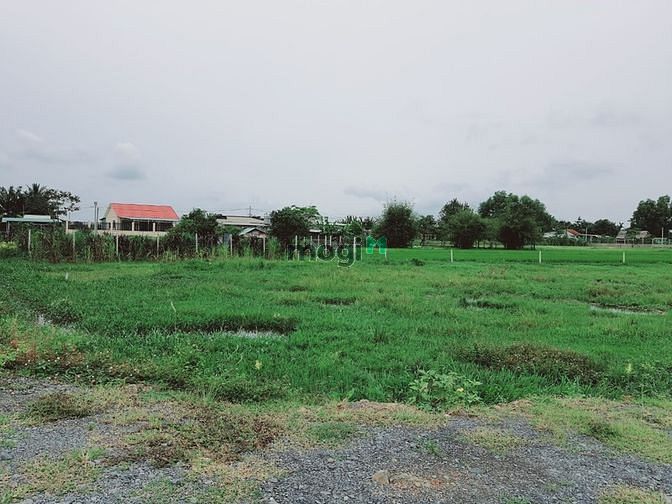 Hình ảnh Đất Trung Lập Hạ, 518m2, Sổ Riêng, Giá Tốt