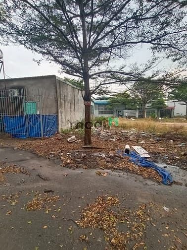 Hình ảnh Chủ gửi bán lô đất thông sát Khu công Nghiệp An Phước- Long Thành