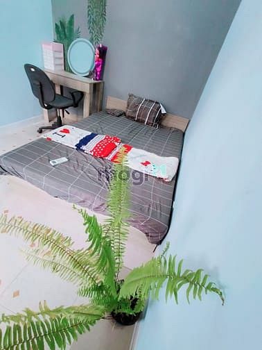 Hình ảnh Trang Chủ MB66.COM / Đăng Ký Tặng 66K dịch vụ cho thuê đầy đủ nội thất quận Phú Nhuận