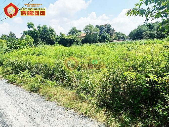 Hình ảnh Bán đất 1/ đường trình thị gắt - 200m2 - 5x39 - 182m2 thổ cư - xã tân