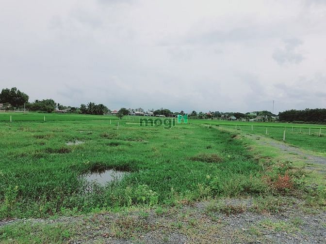 Hình ảnh Đất Trung Lập Hạ, 518m2, Sổ Riêng, Giá Tốt