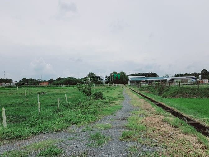 Hình ảnh Đất Trung Lập Hạ, 518m2, Sổ Riêng, Giá Tốt