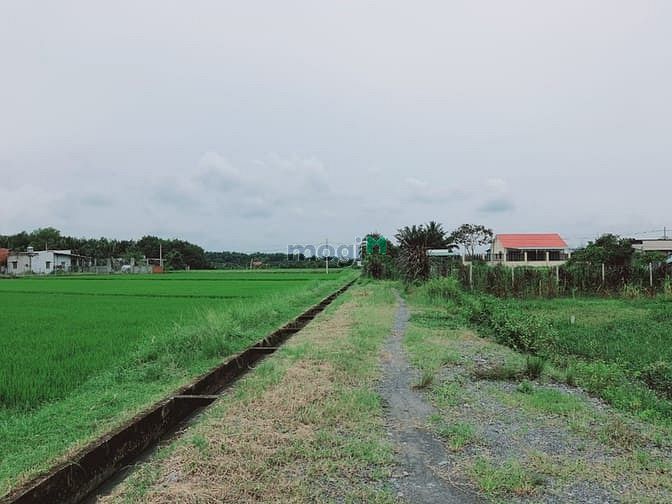 Hình ảnh Đất Trung Lập Hạ, 518m2, Sổ Riêng, Giá Tốt