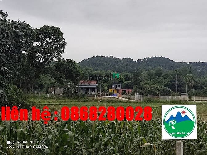 Hình ảnh Bán đất khu đại bản doanh  Villas & Resort DT: 7393m2 /( 1000m2 thổ cư