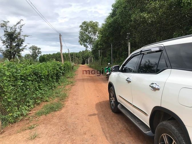 Hình ảnh Đất 2 mặt tiền Thôn 1 , Sơn Mỹ. Giá 9 tỷ 900 tr