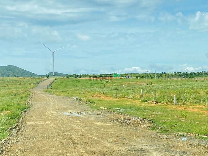 Hình ảnh Chính chủ cần bán đất mặt tiền đường đôi bàu trắng- hòa thắng