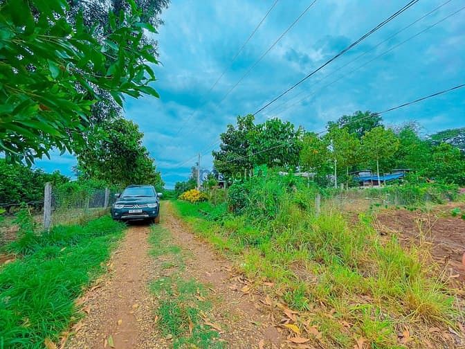 Hình ảnh Đất dân, đất sào, giá tốt, viwe đẹp, Phước Bình-Long Thành