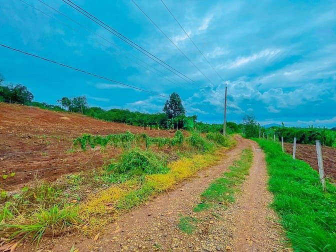Hình ảnh Đất dân, đất sào, giá tốt, viwe đẹp, Phước Bình-Long Thành