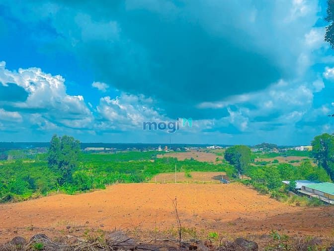 Hình ảnh Đất dân, đất sào, giá tốt, viwe đẹp, Phước Bình-Long Thành