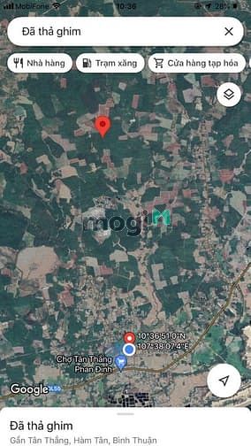 Hình ảnh Đất 3 mẫu 3 Tân Thắng . Giá 3 tỷ 5 cách quốc lộ 55 7 km
