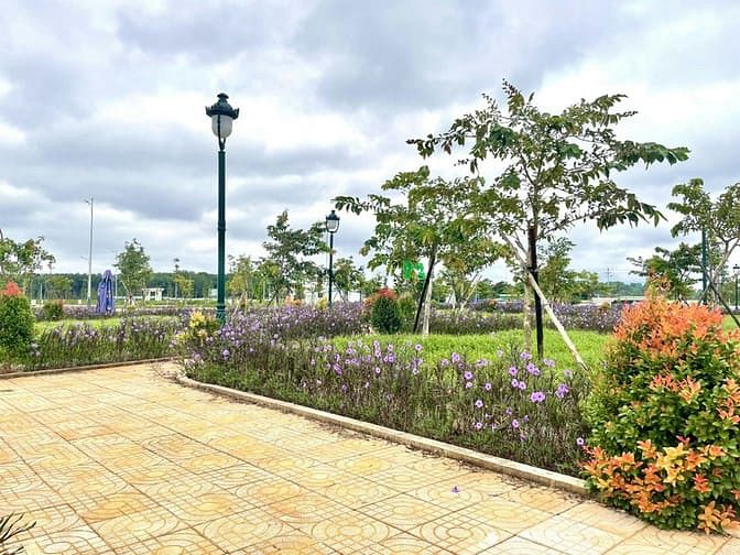 Hình ảnh Đất nền sổ đỏ trung tâm Thành phố Buôn Ma Thuột