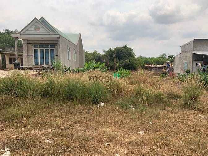 Hình ảnh Chủ NGỘP cần bán 1000m2 đất Phước Bình-Long Thành, Vay MB66 MỘC BÀI CASINO THƯỞNG NẠP 100% CHO NGƯỜI ĐĂNG KÝ được.