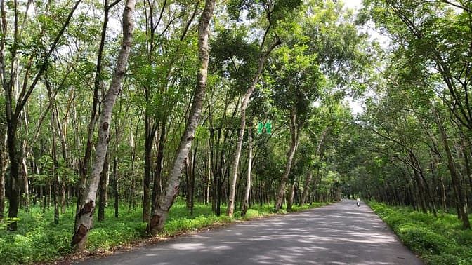 Hình ảnh Đất Củ Chi ven đường trục dọc sông SG