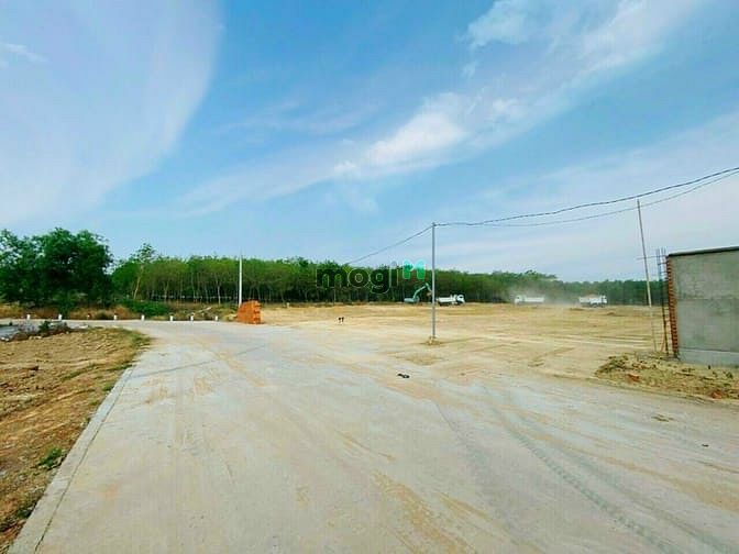 Hình ảnh Đât Nền Bàu Bàng 1000m Cách QL13 ( 250m )