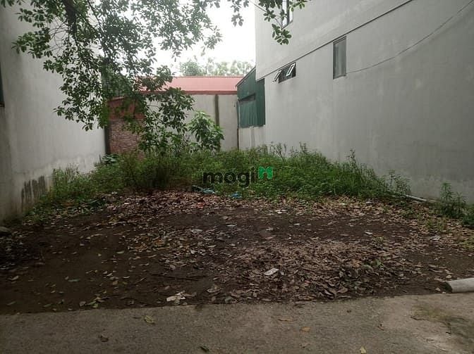 Hình ảnh Đất Vĩnh Ngọc, Oto. DT 145m2, MT 8m. Giá: 38tr/m2