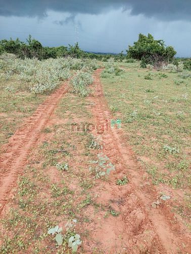 Hình ảnh Đất Bình Thuận 100k/m2. 5000m2 giá 500tr, cách biển 5km.