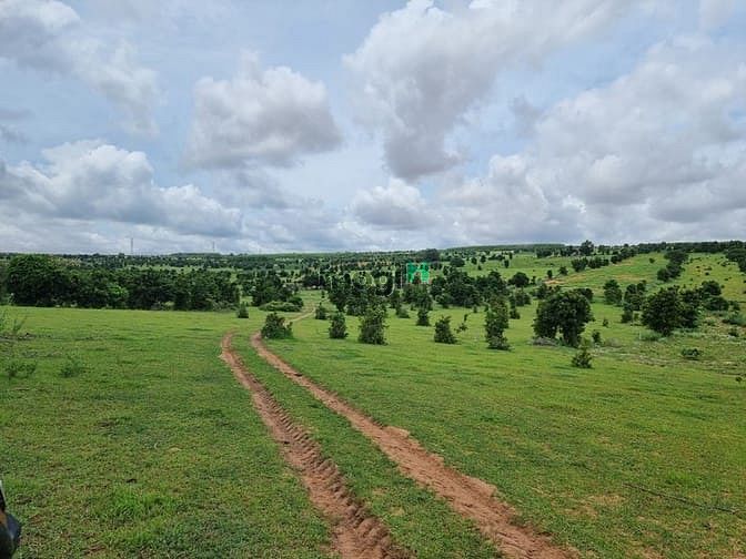 Hình ảnh Đất Bình Thuận 100k/m2. 5000m2 giá 500tr, cách biển 5km.