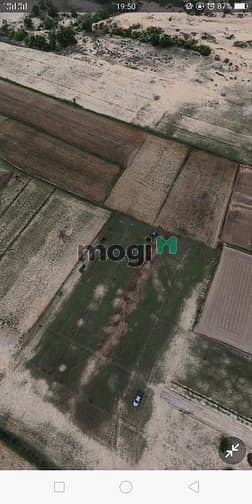 Hình ảnh Đất biển Bình Thuận, Quy hoạch đất ở, cách Đồi Cát Trắng 500km.