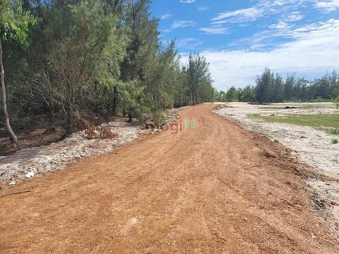 Hình ảnh Đất Mặt Tiền Biển Bình Thuận, Cách Đồi Cát Trắng 500m, Sổ Sẵn.