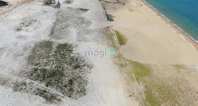 Hình ảnh Đất Mặt Tiền Biển Bình Thuận, Cách Đồi Cát Trắng 500m, Sổ Sẵn.