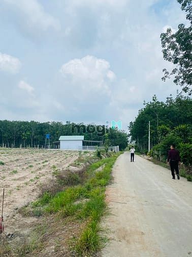 Hình ảnh Bán đất được quy hoạch đất ONT xã Phước Bình - Long Thành