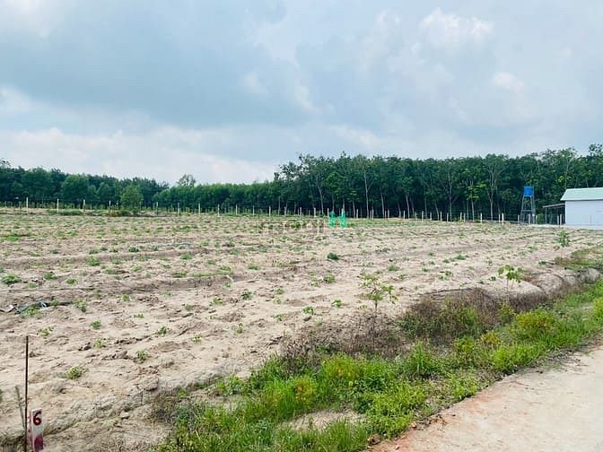 Hình ảnh Bán đất được quy hoạch đất ONT xã Phước Bình - Long Thành
